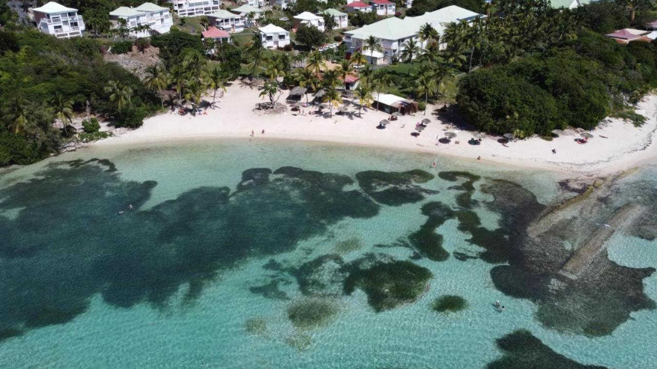 Chaleureux Studio 4 Personnes - Residence Anse Des Rochers - " Les Alizes Du Soir " Tout Equipe Et Citerne D'Eau Saint-Francois  Zewnętrze zdjęcie
